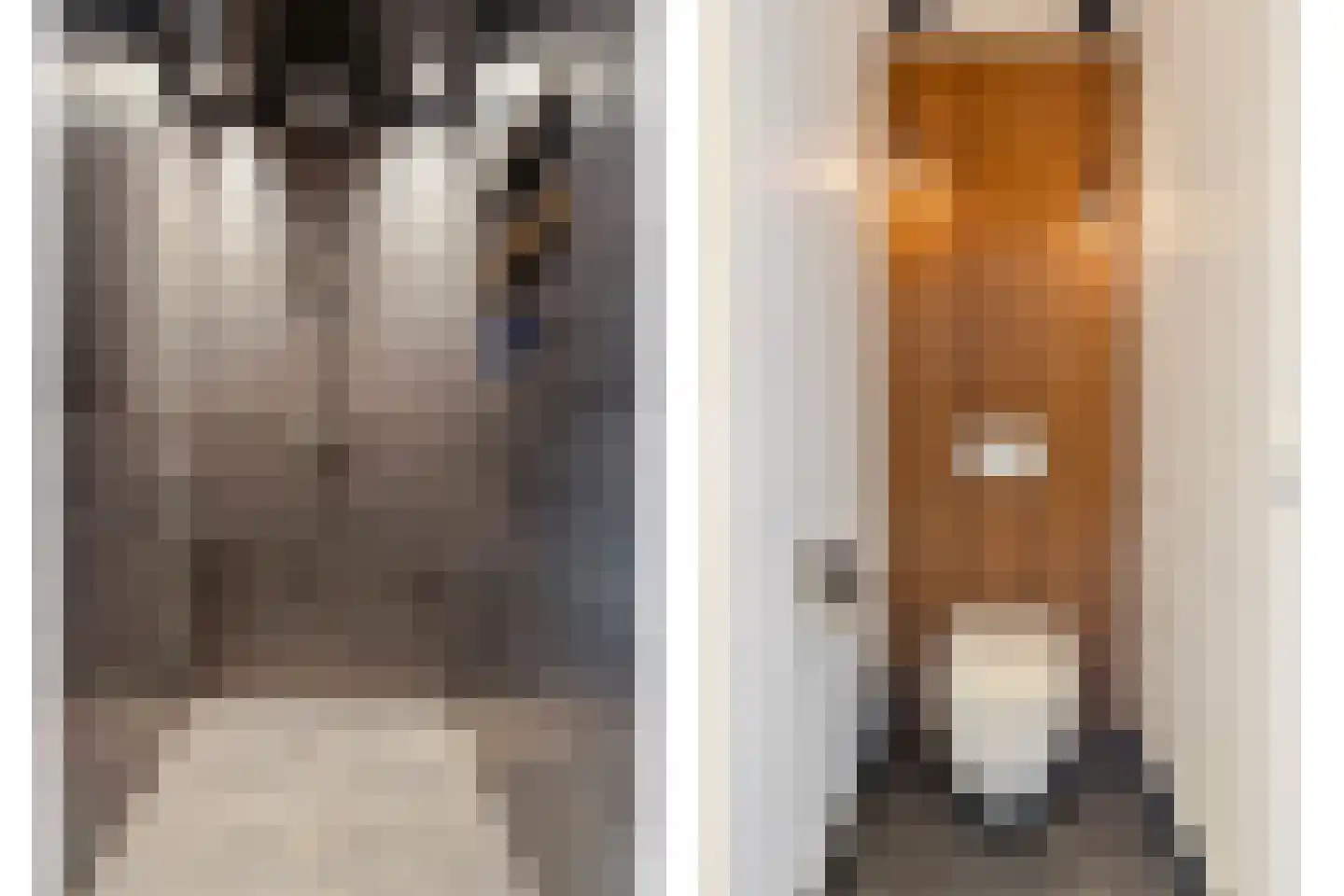 Dorpsstraat 20 Krabbendijke thumbnail 15