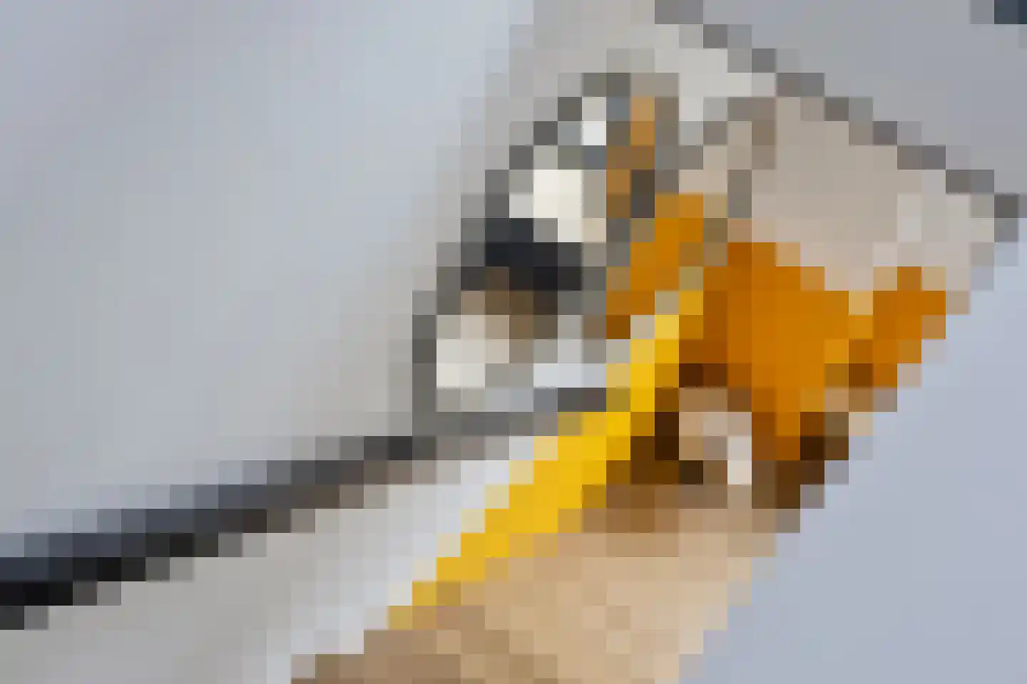 Dorpsstraat 20 Krabbendijke thumbnail 18