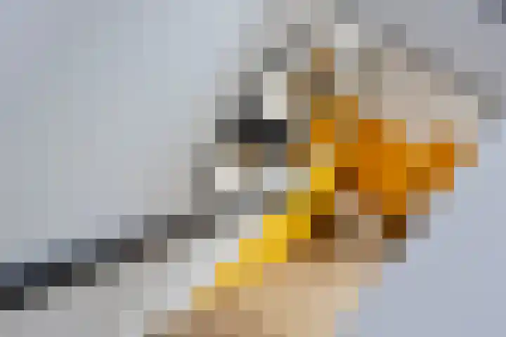 Dorpsstraat 20 Krabbendijke thumbnail 18