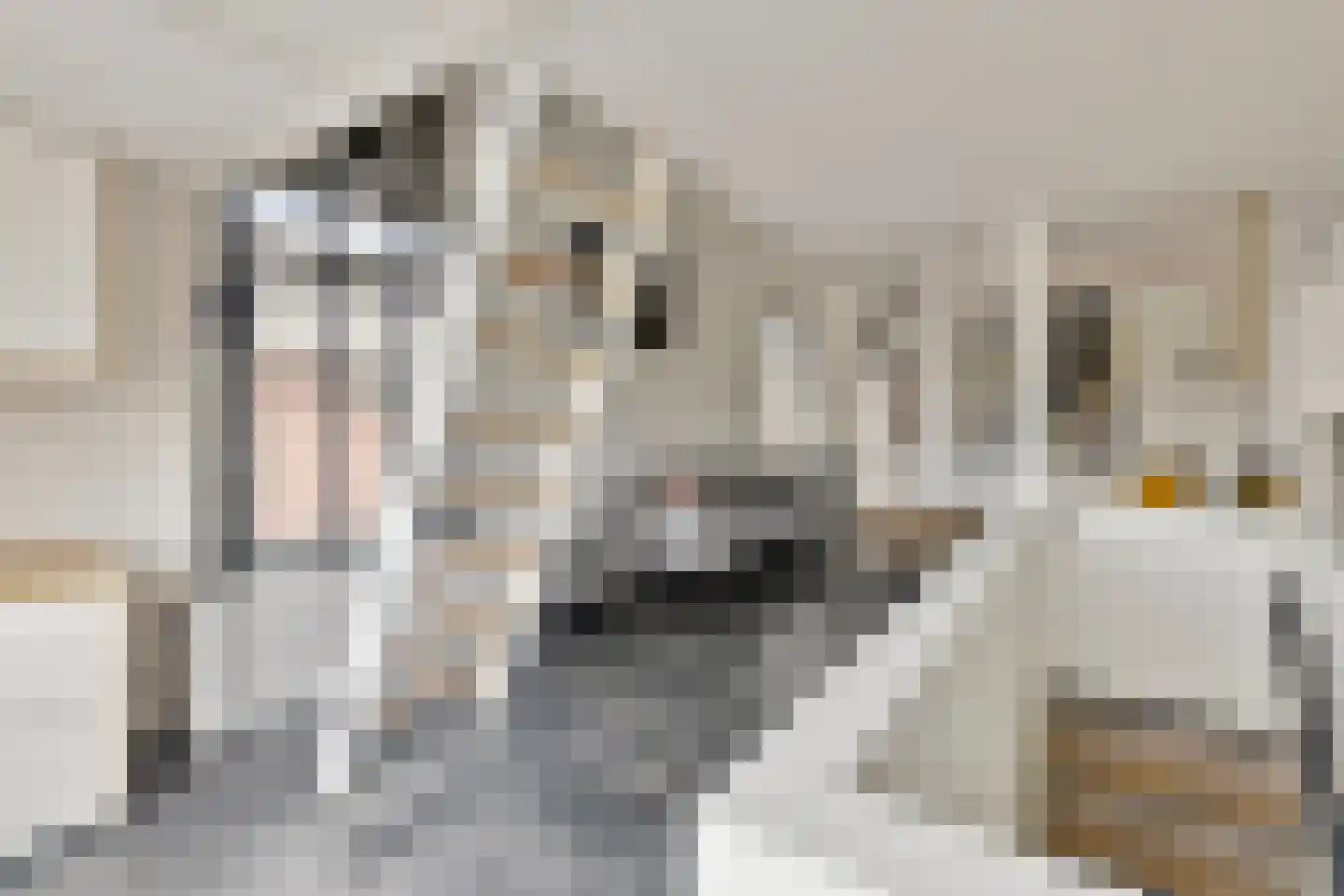 Dorpsstraat 20 Krabbendijke thumbnail 19