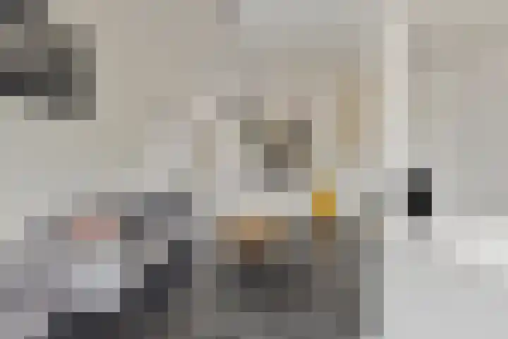 Dorpsstraat 20 Krabbendijke thumbnail 20