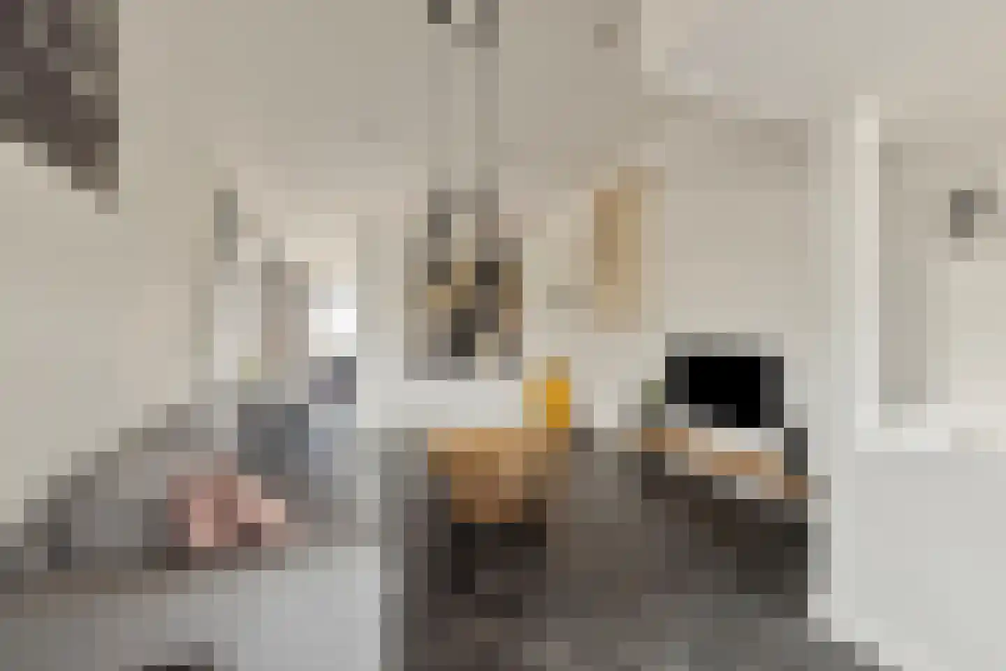 Dorpsstraat 20 Krabbendijke thumbnail 21