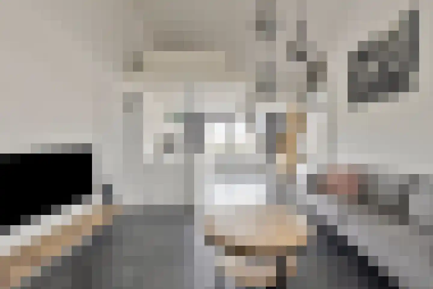 Dorpsstraat 20 Krabbendijke thumbnail 22