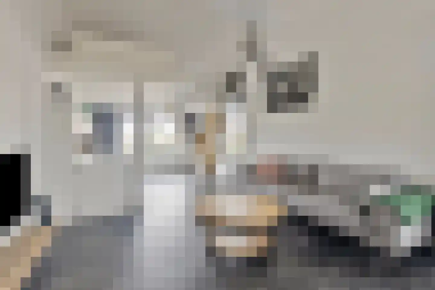 Dorpsstraat 20 Krabbendijke thumbnail 23
