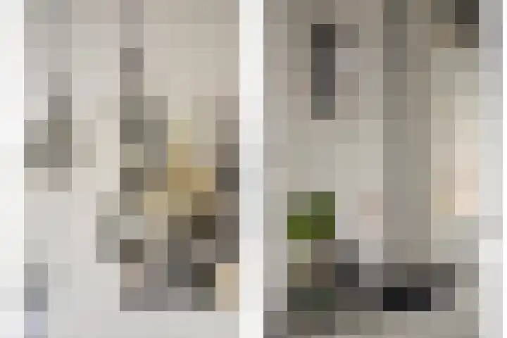 Dorpsstraat 20 Krabbendijke thumbnail 25