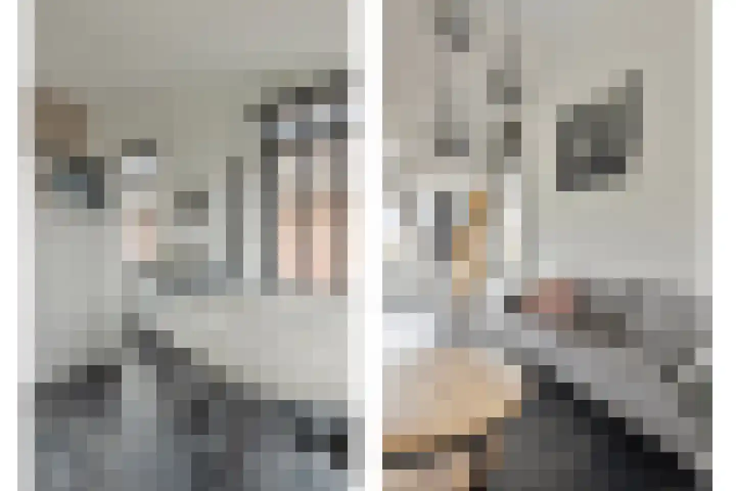 Dorpsstraat 20 Krabbendijke thumbnail 26