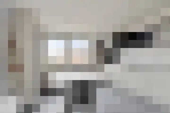 Dorpsstraat 20 Krabbendijke thumbnail 27