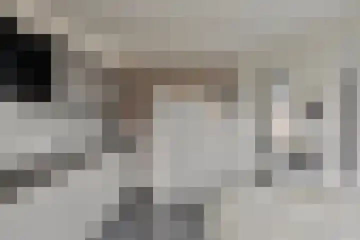 Dorpsstraat 20 Krabbendijke thumbnail 28