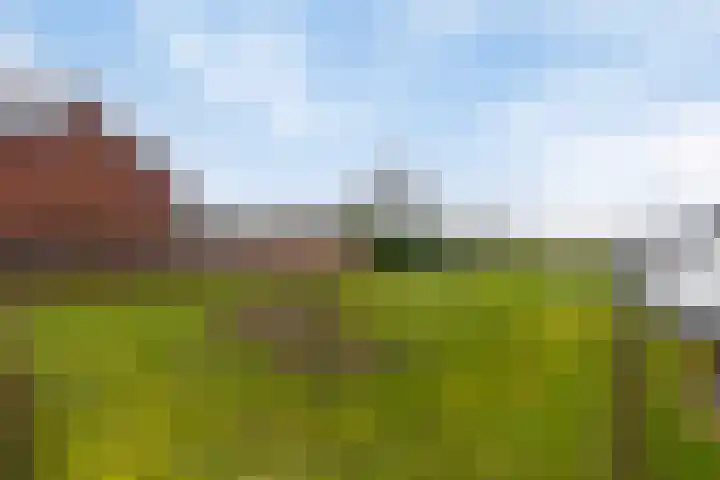 Dorpsstraat 20 Krabbendijke thumbnail 39