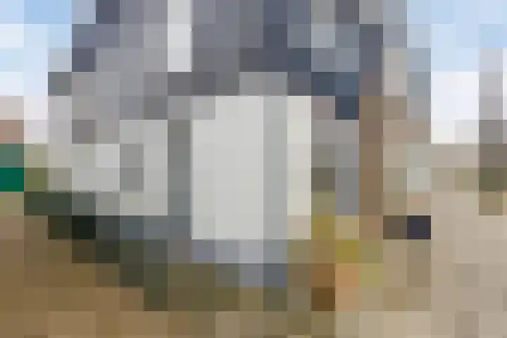 Dorpsstraat 20 Krabbendijke thumbnail 5