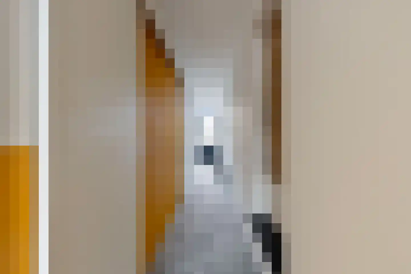 Dorpsstraat 20 Krabbendijke thumbnail 9
