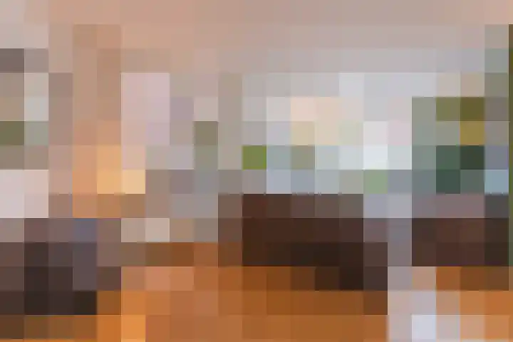 Dorpsstraat 20 Ossendrecht thumbnail 5