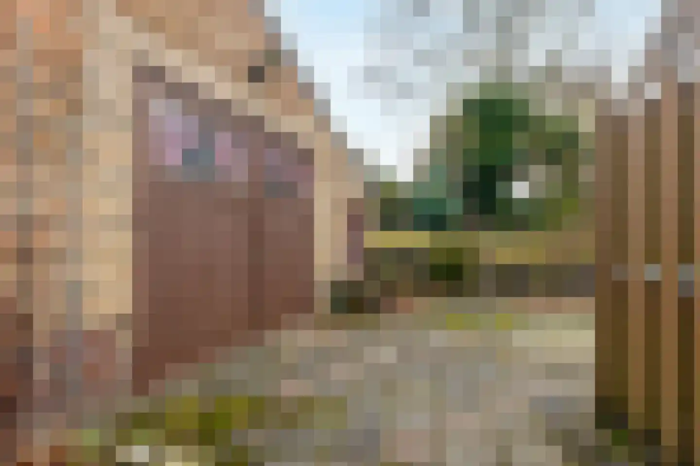 Dorpsstraat 20 Schinnen thumbnail 21