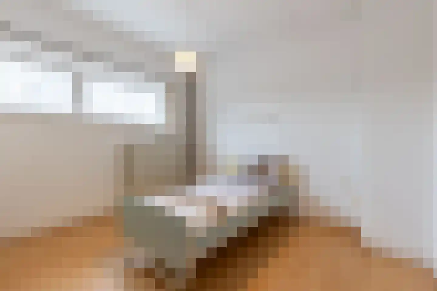 Dorpsstraat 20 Schinnen thumbnail 40