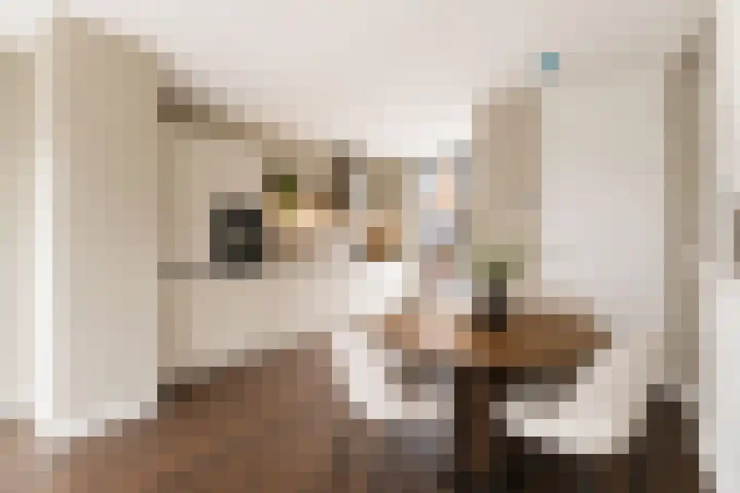 Dorpsstraat 20 Streefkerk thumbnail 14