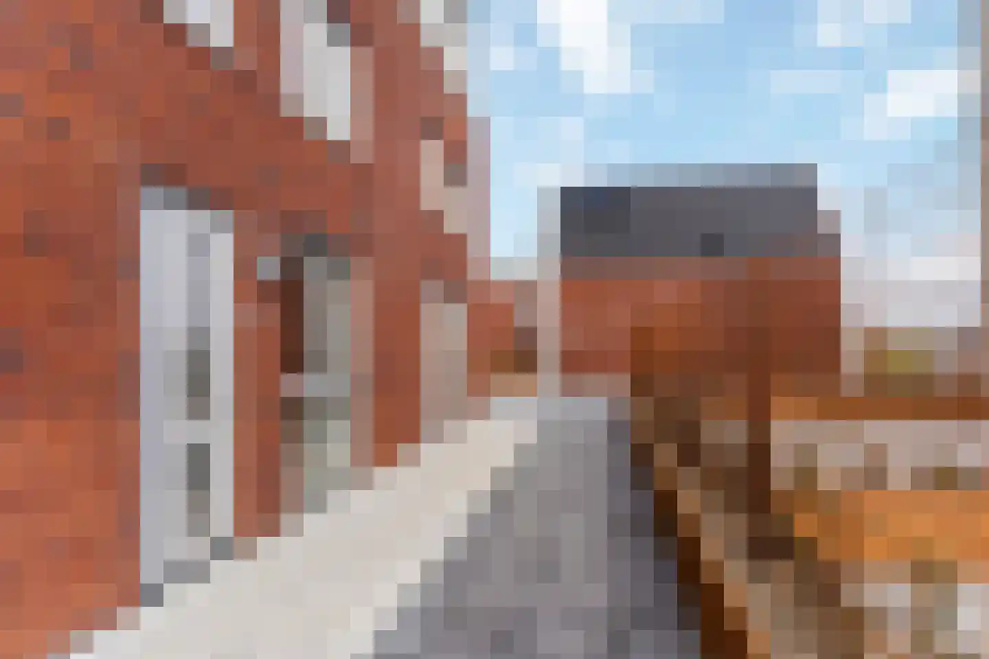 Dorpsstraat 20 Streefkerk thumbnail 48
