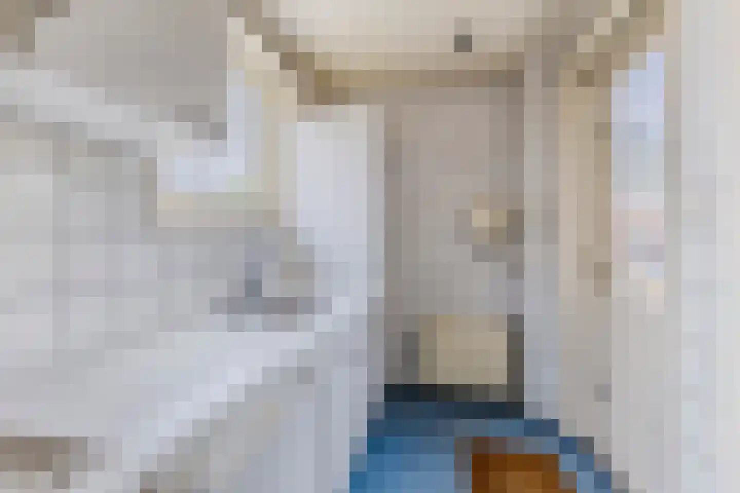 Dorpsstraat 203 C Assendelft thumbnail 14