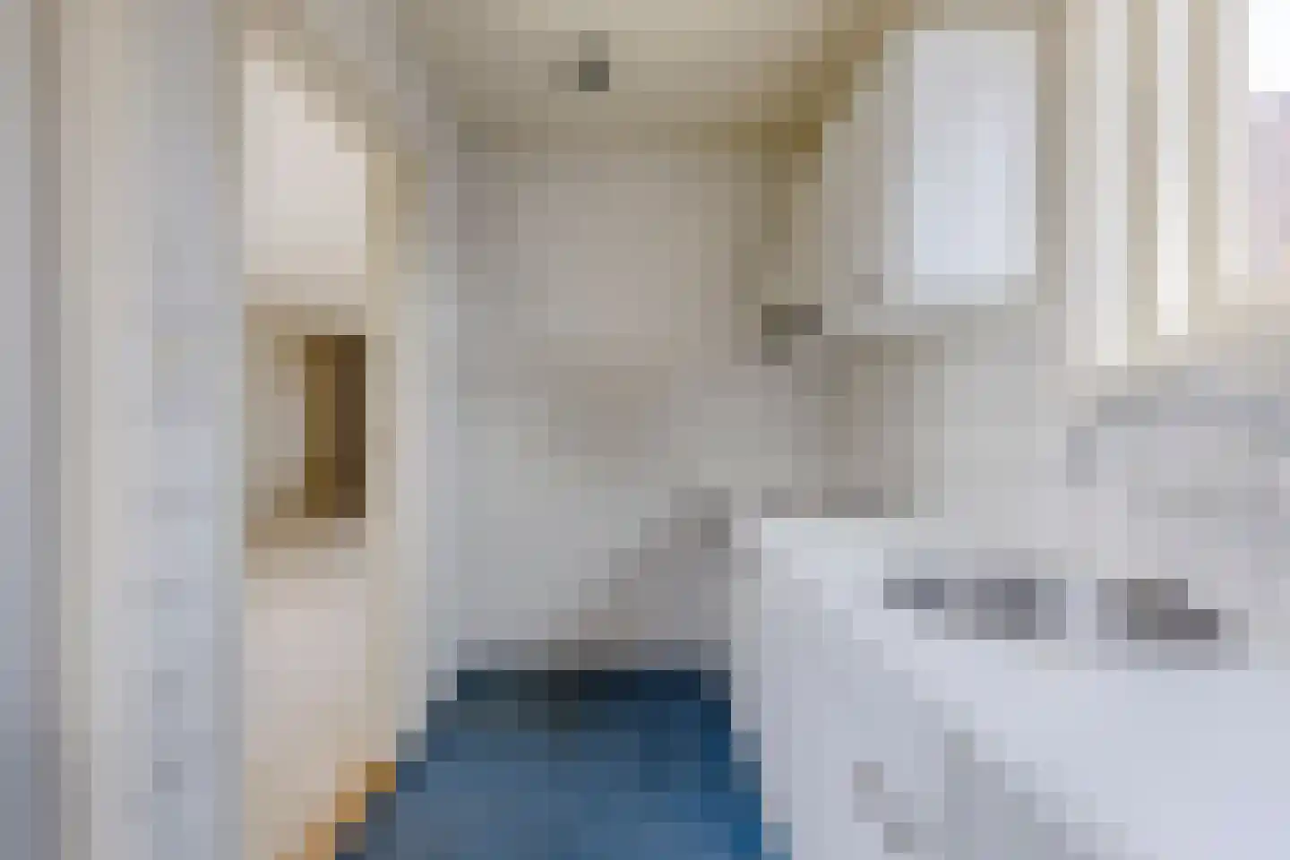 Dorpsstraat 203 C Assendelft thumbnail 15