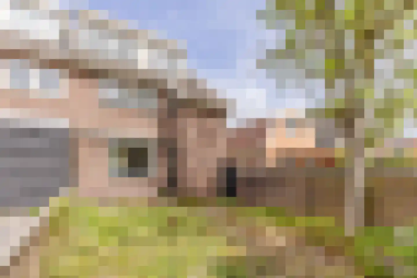 Dorpsstraat 203 C Assendelft thumbnail 18
