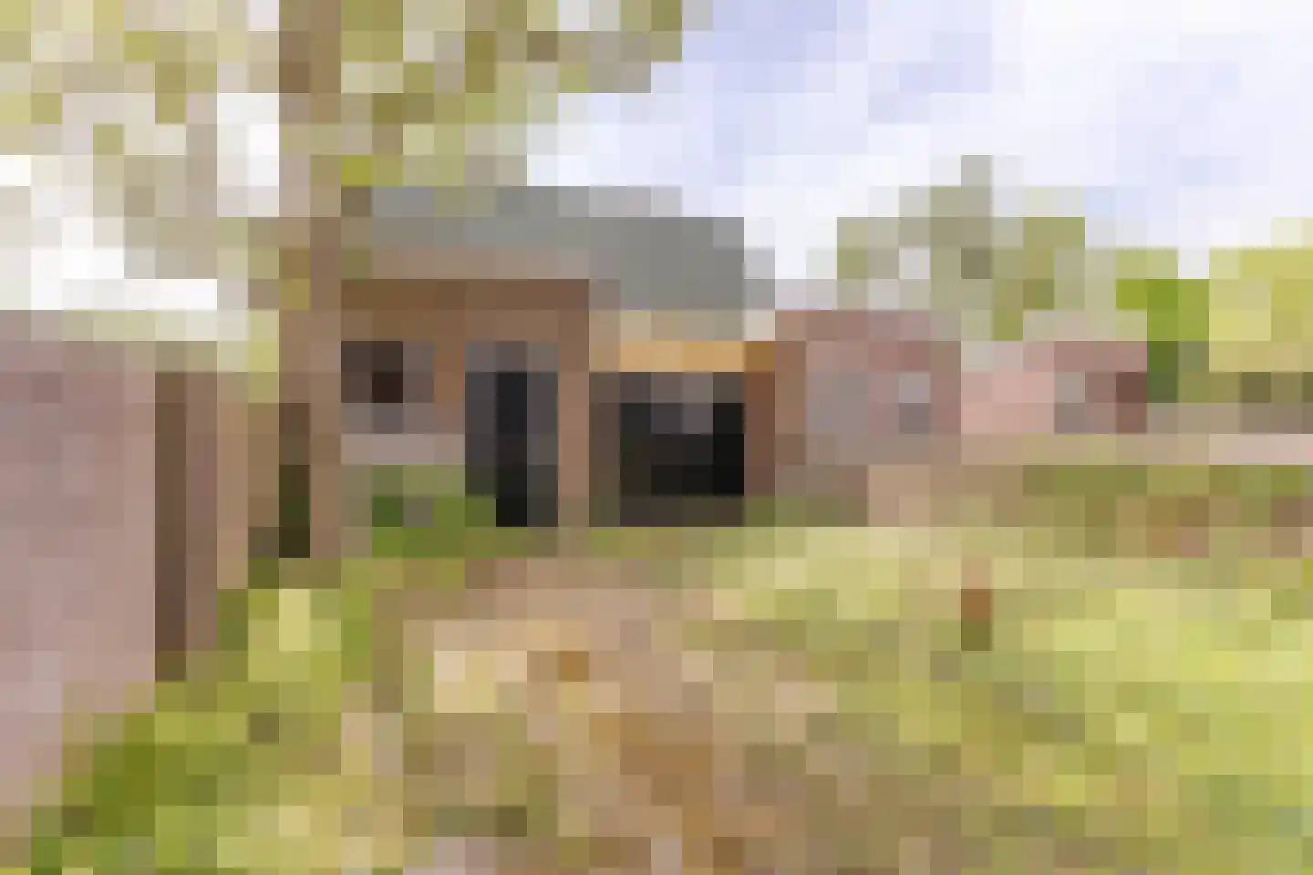 Dorpsstraat 203 C Assendelft thumbnail 19