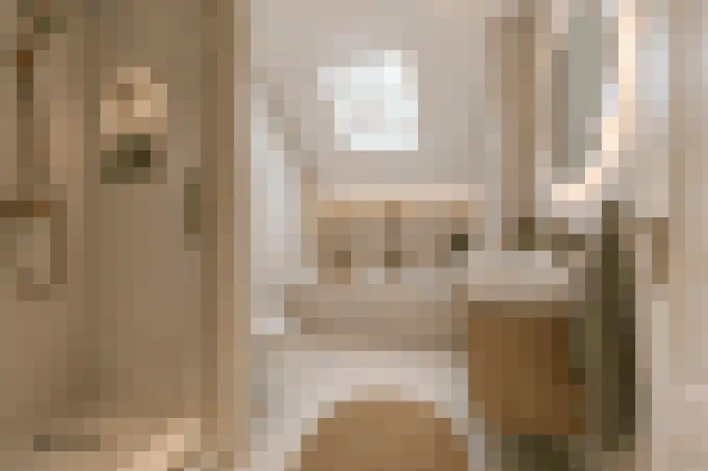 Dorpsstraat 203 C Assendelft thumbnail 25