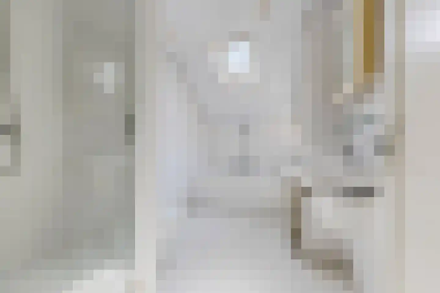 Dorpsstraat 203 C Assendelft thumbnail 26