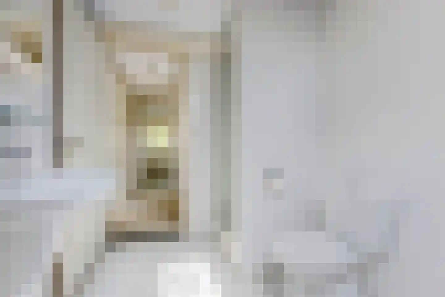 Dorpsstraat 203 C Assendelft thumbnail 28