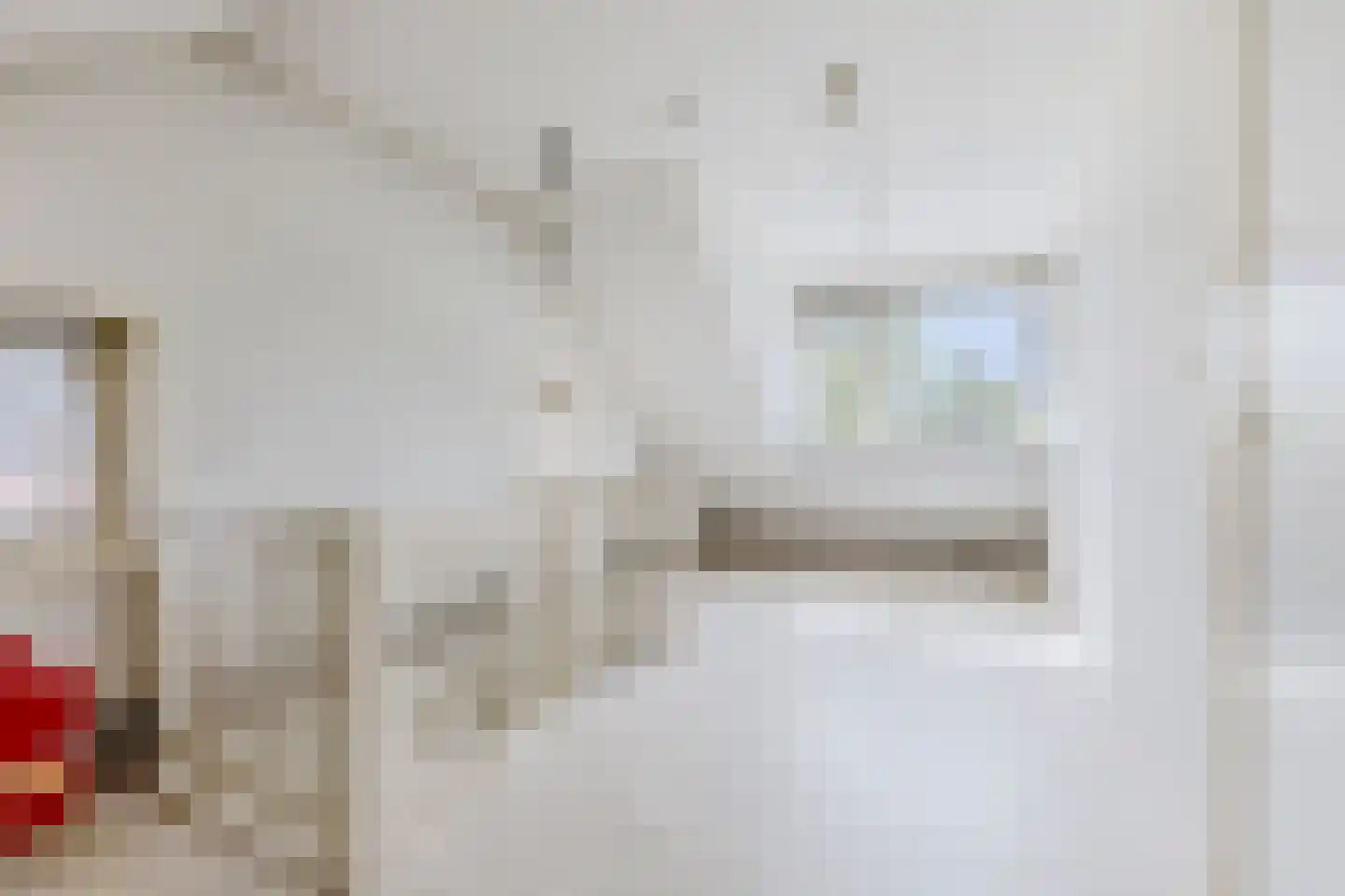Dorpsstraat 203 C Assendelft thumbnail 36