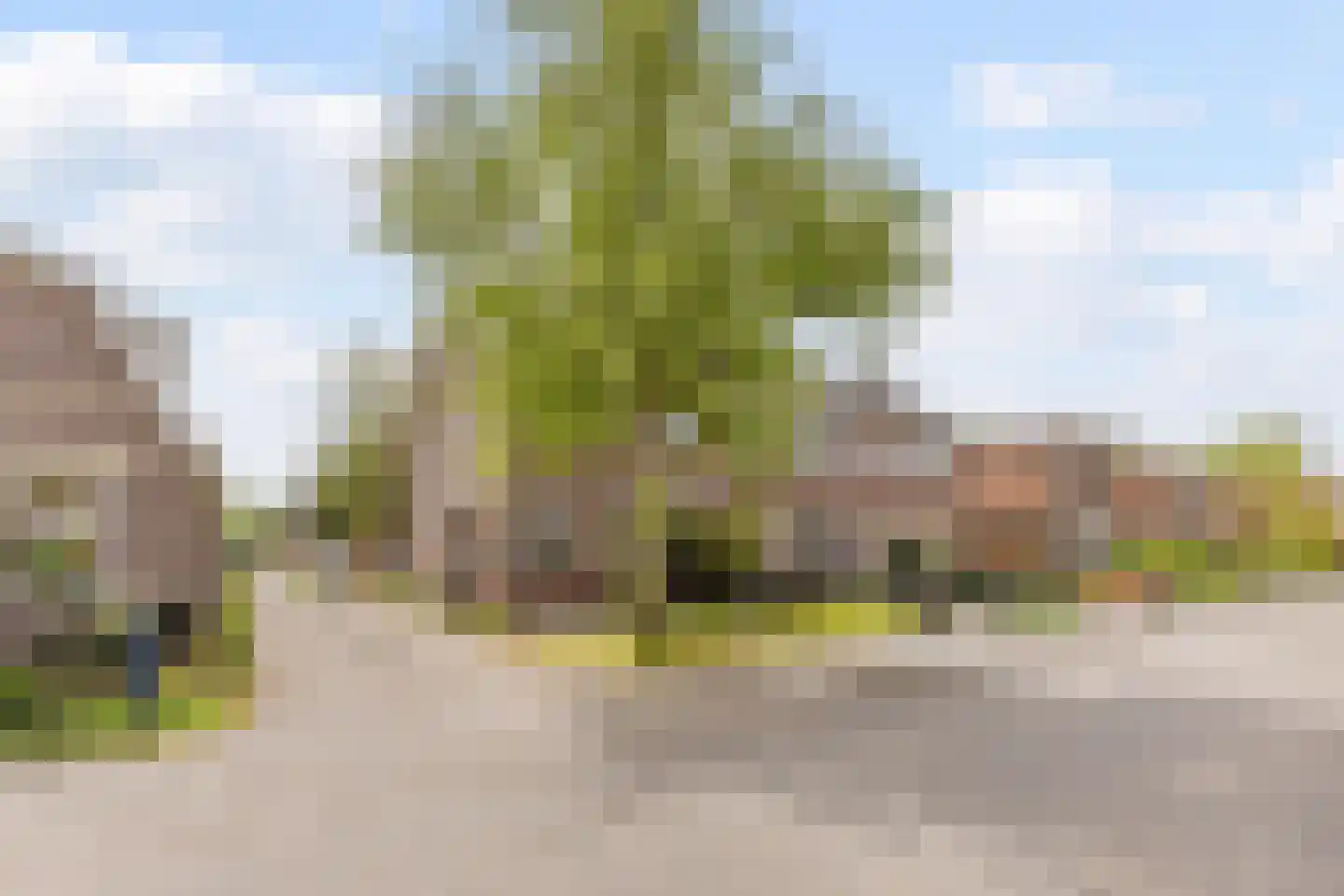 Dorpsstraat 203 C Assendelft thumbnail 38