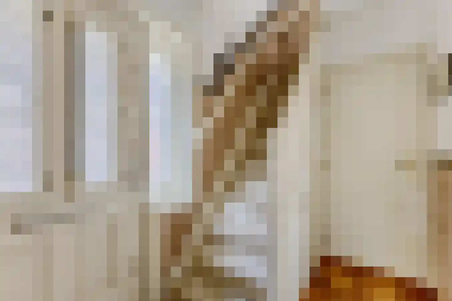 Dorpsstraat 203 C Assendelft thumbnail 8