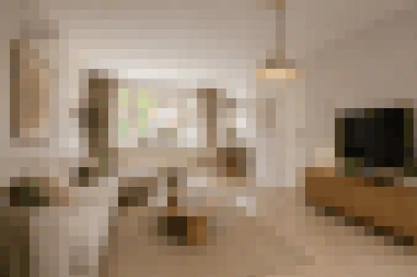 Dorpsstraat 203 C Assendelft thumbnail 9