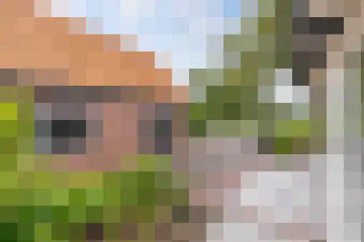 Dorpsstraat 209 Broek op Langedijk thumbnail 38