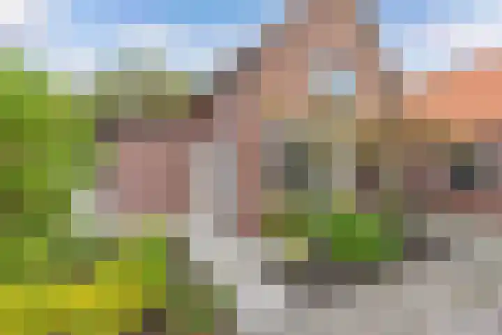 Dorpsstraat 209 Broek op Langedijk thumbnail 5