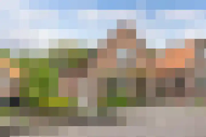 Dorpsstraat 209 Broek op Langedijk thumbnail 6
