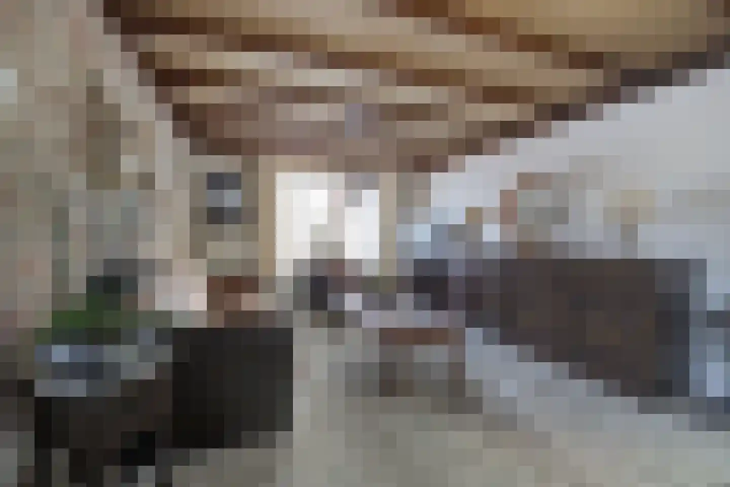 Dorpsstraat 209 St. Willebrord thumbnail 11
