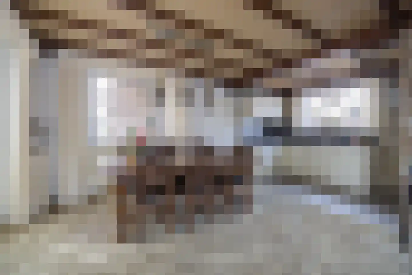 Dorpsstraat 209 St. Willebrord thumbnail 14