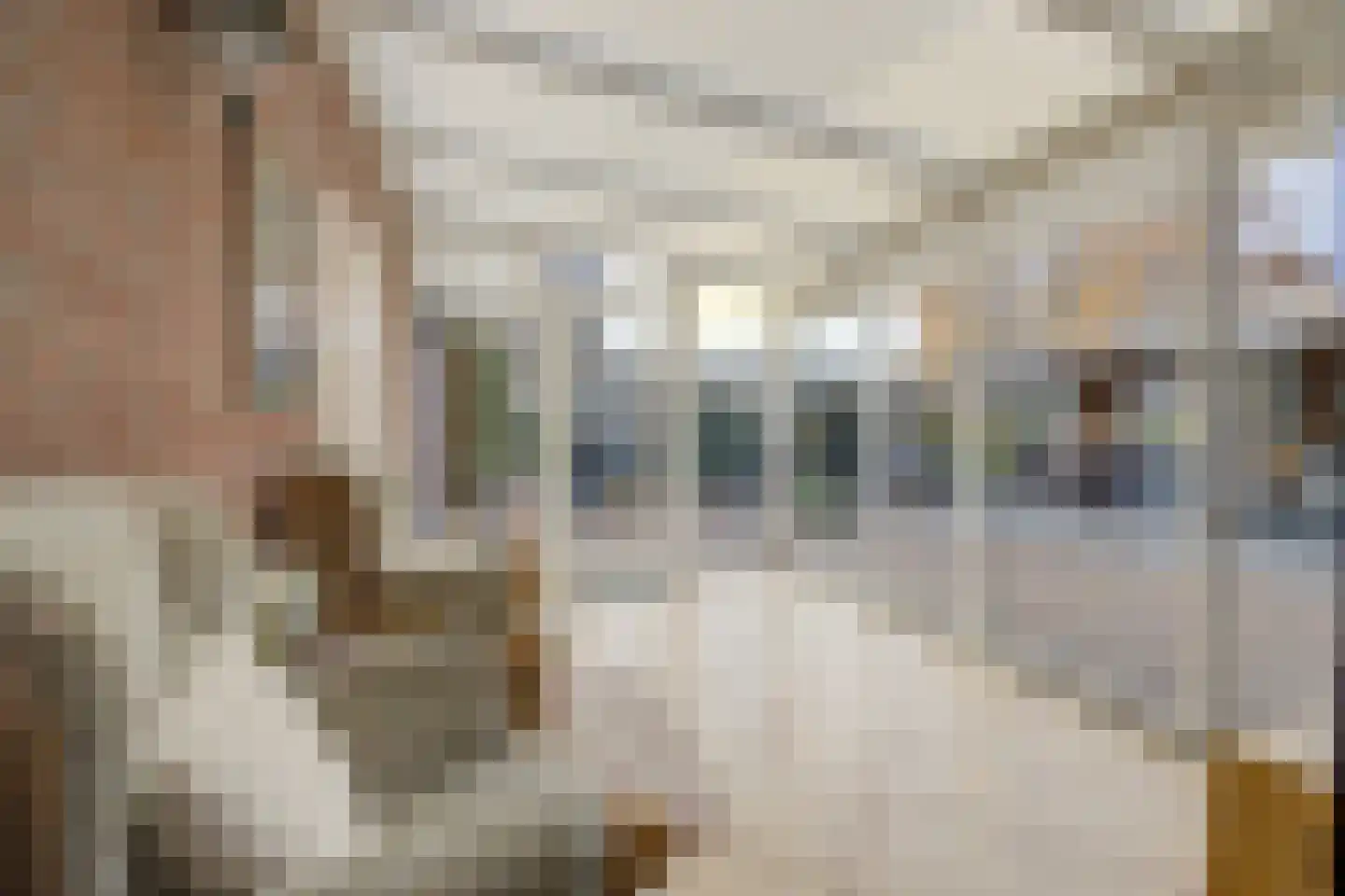 Dorpsstraat 209 St. Willebrord thumbnail 20