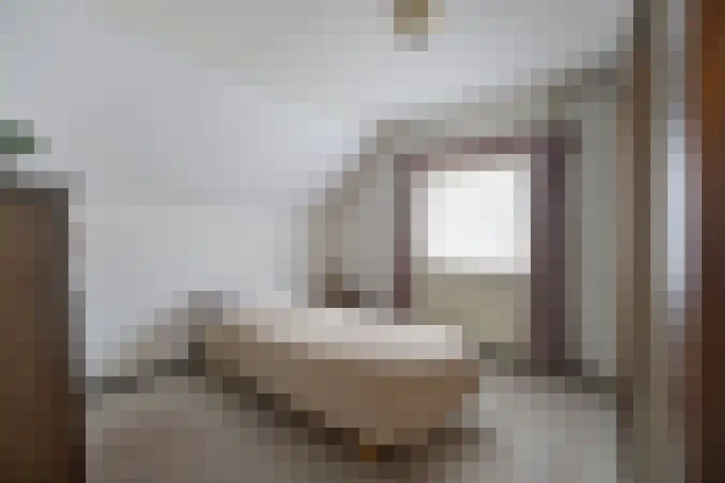 Dorpsstraat 209 St. Willebrord thumbnail 30