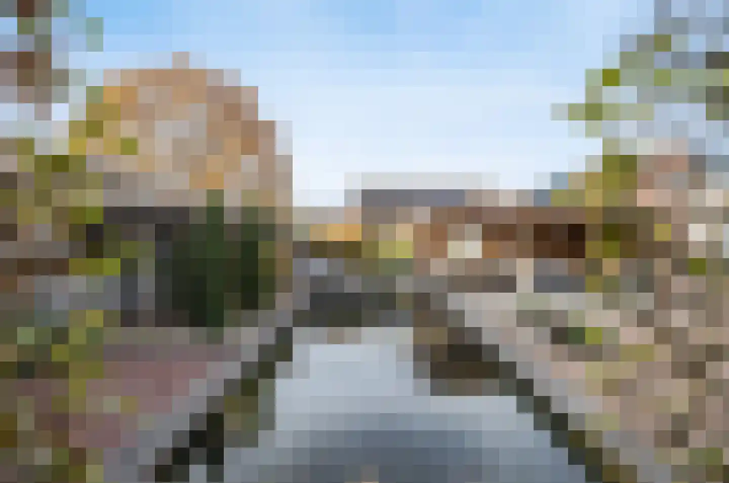 Dorpsstraat 209 St. Willebrord thumbnail 43