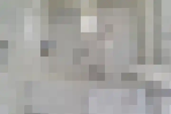 Dorpsstraat 21 A Angerlo thumbnail 17