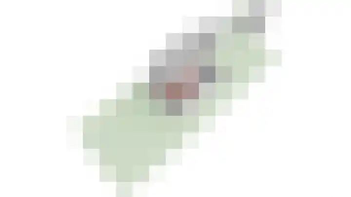 Dorpsstraat 21 A Angerlo thumbnail 39