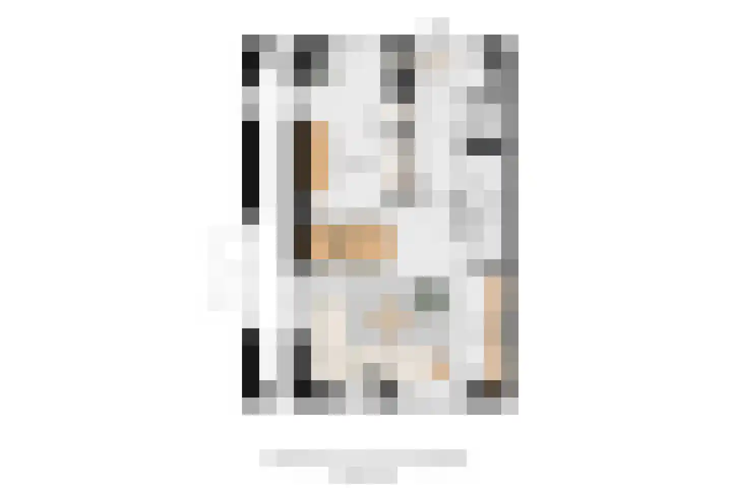 Dorpsstraat 21 A Streefkerk thumbnail 5