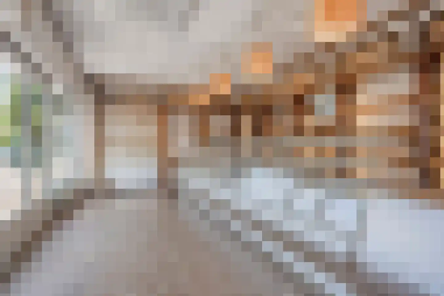 Dorpsstraat 21 Afferden L thumbnail 32