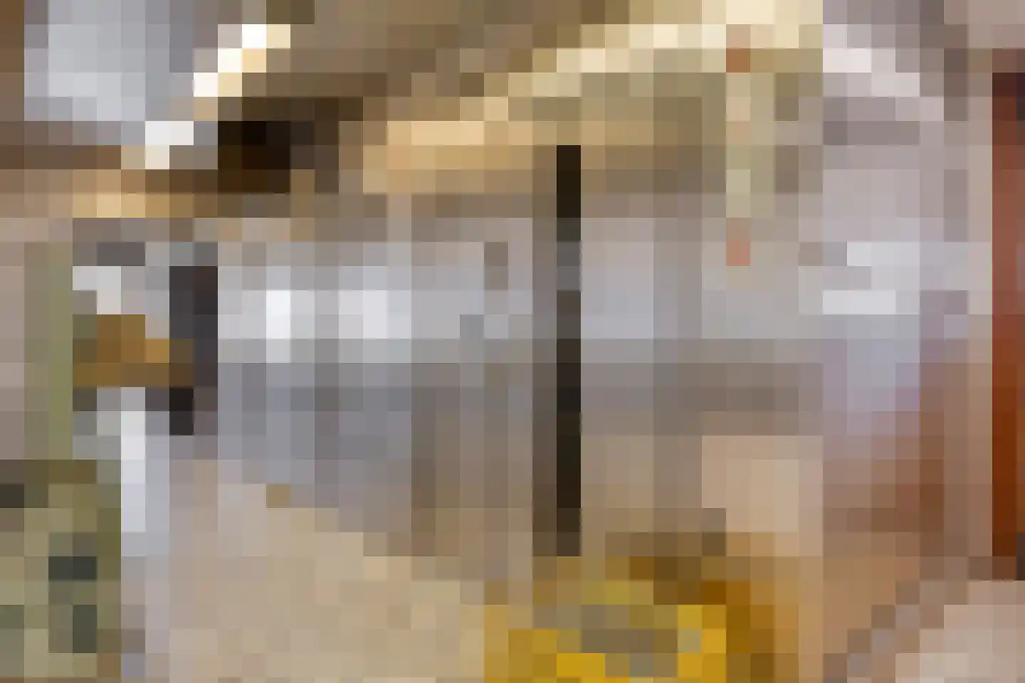 Dorpsstraat 21 Afferden L thumbnail 39