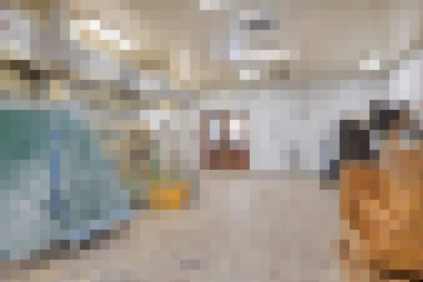 Dorpsstraat 21 Afferden L thumbnail 40