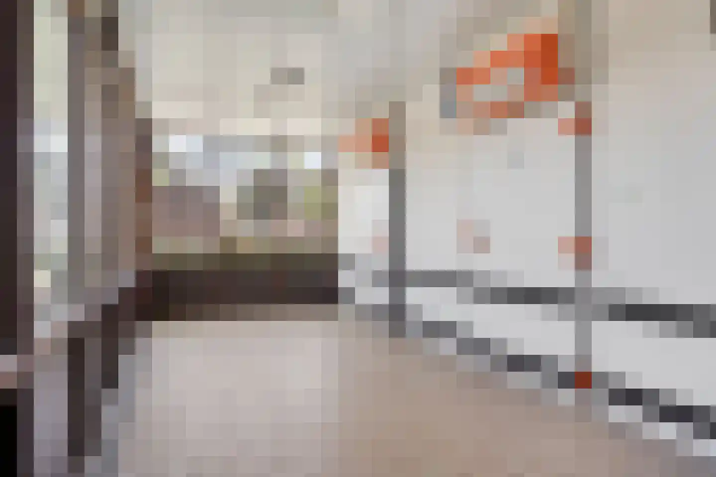 Dorpsstraat 21 Afferden L thumbnail 42