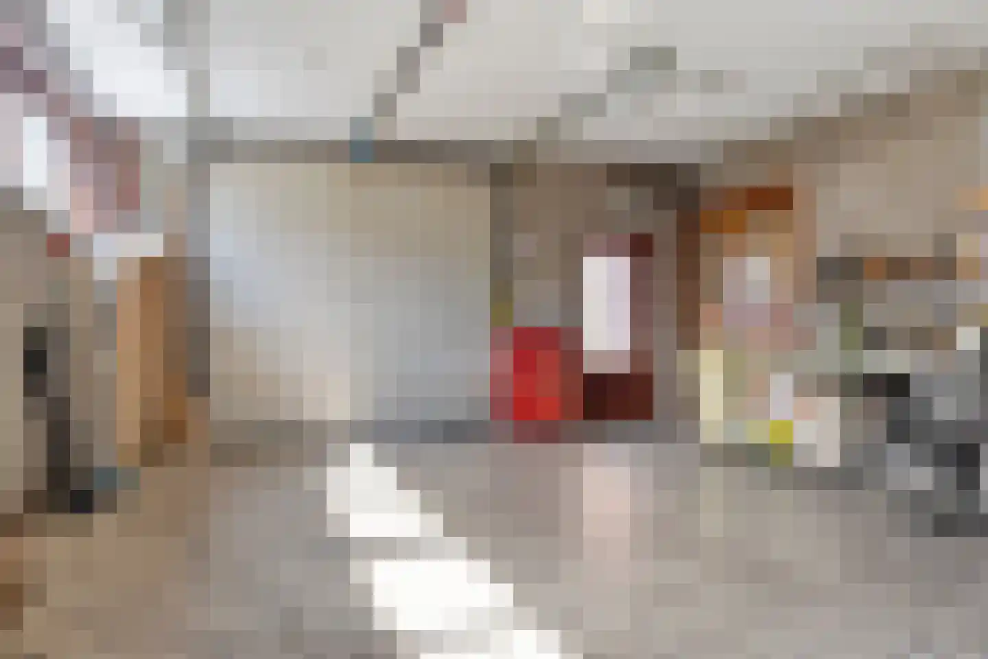 Dorpsstraat 21 Afferden L thumbnail 45