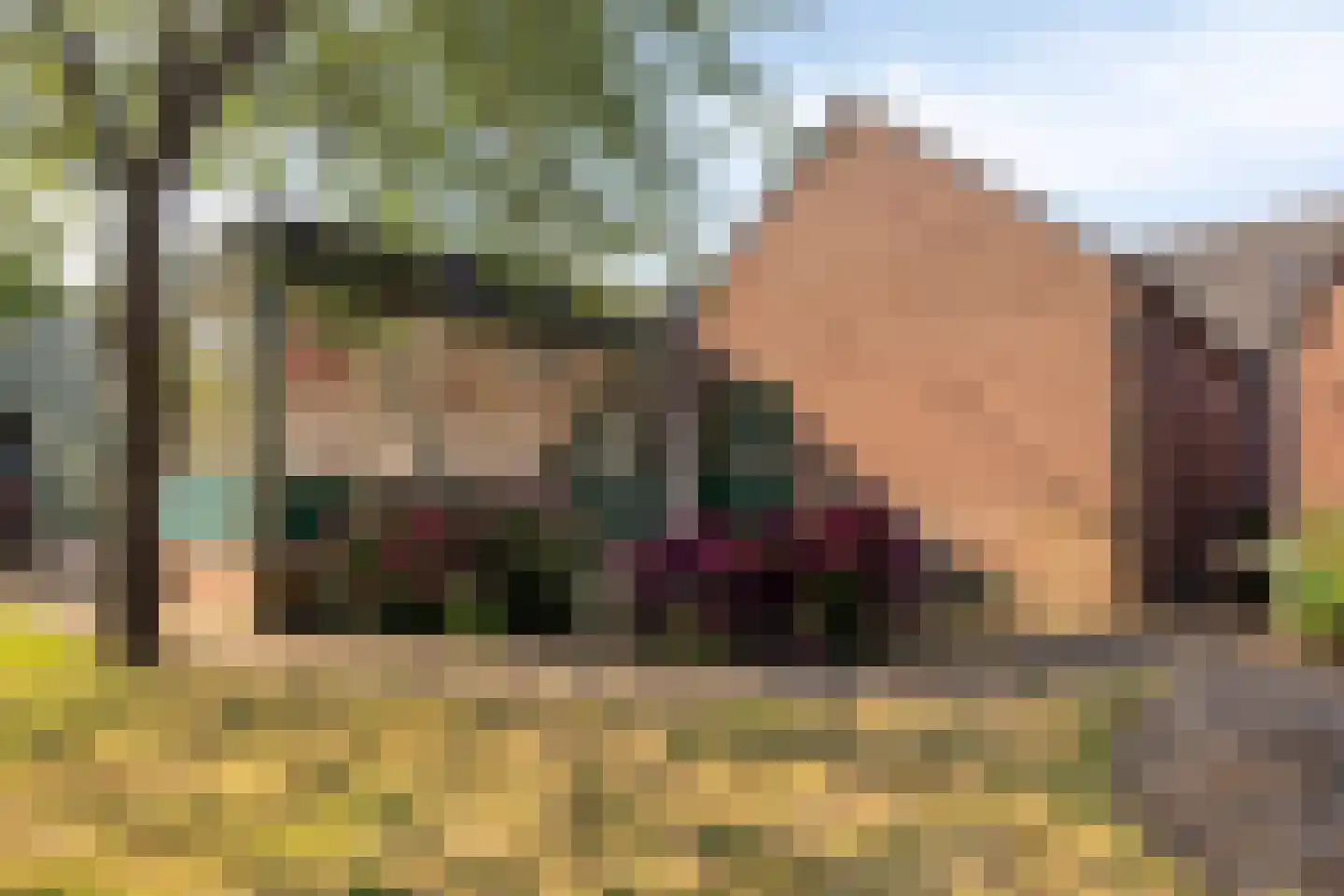 Dorpsstraat 21 Afferden L thumbnail 52