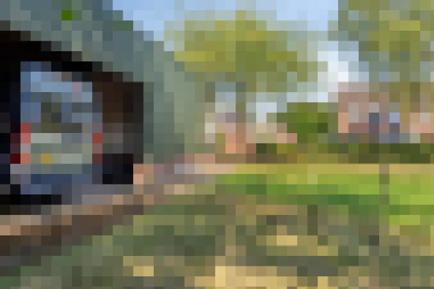 Dorpsstraat 21 Afferden L thumbnail 54