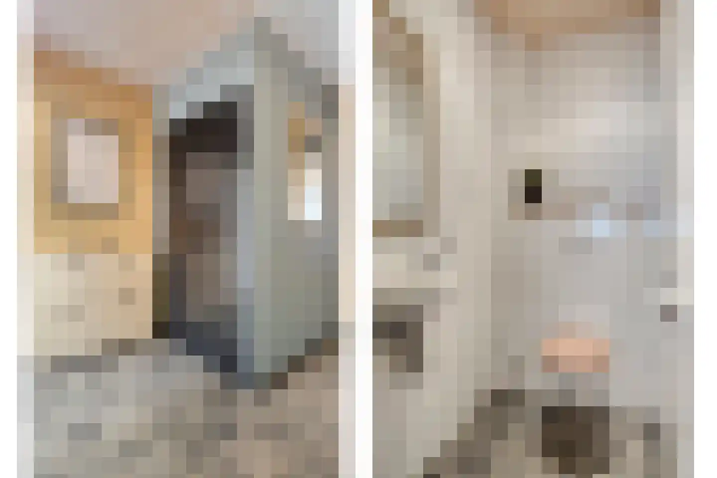 Dorpsstraat 21 Etten thumbnail 12